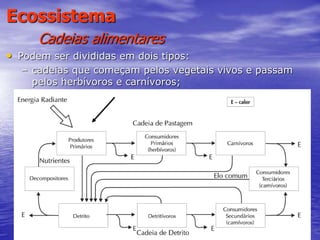 22
Ecossistema
Cadeias alimentares
• Podem ser divididas em dois tipos:
– cadeias que começam pelos vegetais vivos e passam
pelos herbívoros e carnívoros;
 