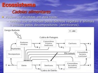 23
Ecossistema
Cadeias alimentares
• Podem ser divididas em dois tipos:
– cadeias que se iniciam pelos detritos vegetais e animais
e passam pelos decompositores (detritívoros).
 
