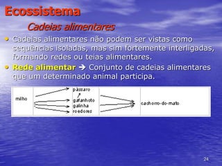 24
Ecossistema
Cadeias alimentares
• Cadeias alimentares não podem ser vistas como
sequências isoladas, mas sim fortemente interligadas,
formando redes ou teias alimentares.
• Rede alimentar  Conjunto de cadeias alimentares
que um determinado animal participa.
 
