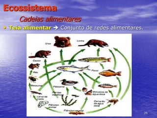 25
Ecossistema
Cadeias alimentares
• Teia alimentar  Conjunto de redes alimentares.
 