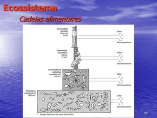 28
Ecossistema
Cadeias alimentares
 