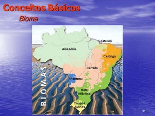 31
Conceitos Básicos
Bioma
 