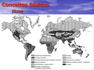 33
Conceitos Básicos
Bioma
 