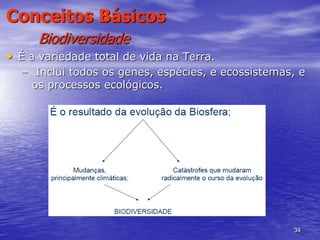 34
Conceitos Básicos
Biodiversidade
• É a variedade total de vida na Terra.
– Inclui todos os genes, espécies, e ecossistemas, e
os processos ecológicos.
 