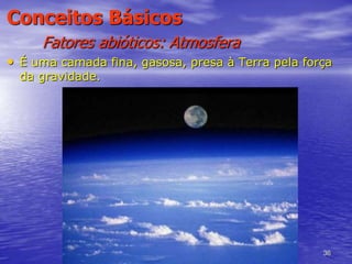36
Conceitos Básicos
Fatores abióticos: Atmosfera
• É uma camada fina, gasosa, presa à Terra pela força
da gravidade.
 