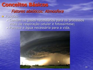 40
Conceitos Básicos
Fatores abióticos: Atmosfera
• Funções:
• Contém os gases necessários para os processos
vitais de respiração celular e fotossíntese;
• Fornece a água necessária para a vida.
 