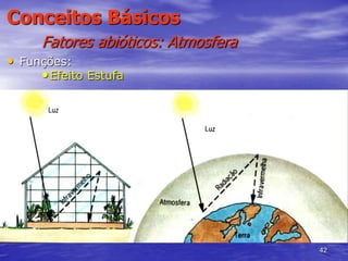 42
Conceitos Básicos
Fatores abióticos: Atmosfera
• Funções:
•Efeito Estufa
 