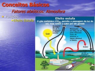 43
Conceitos Básicos
Fatores abióticos: Atmosfera
• Funções:
•Efeito Estufa
 