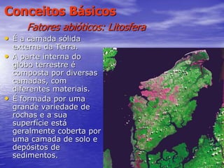 44
Conceitos Básicos
Fatores abióticos: Litosfera
• É a camada sólida
externa da Terra.
• A parte interna do
globo terrestre é
composta por diversas
camadas, com
diferentes materiais.
• É formada por uma
grande variedade de
rochas e a sua
superfície está
geralmente coberta por
uma camada de solo e
depósitos de
sedimentos.
 