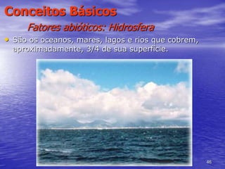 46
Conceitos Básicos
Fatores abióticos: Hidrosfera
• São os oceanos, mares, lagos e rios que cobrem,
aproximadamente, 3/4 de sua superfície.
 