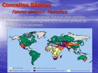 48
Conceitos Básicos
Fatores abióticos: Hidrosfera
• A distribuição dos recursos hídricos pelo planeta
também não é homogênea. Em muitos pontos do
planeta já há escassez.
 
