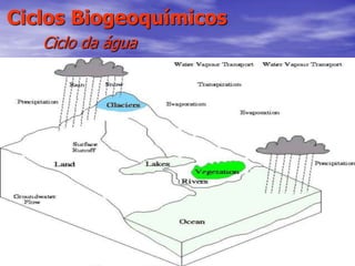 56
Ciclos Biogeoquímicos
Ciclo da água
 