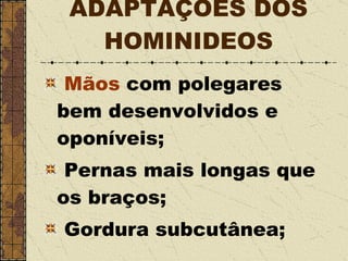 ADAPTAÇÕES DOS HOMINIDEOS Mãos  com polegares bem desenvolvidos e oponíveis; Pernas mais longas que os braços; Gordura subcutânea; 