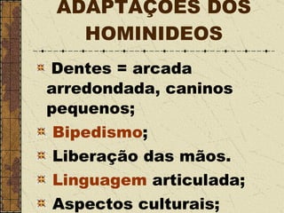 Dentes = arcada arredondada, caninos pequenos; Bipedismo ; Liberação das mãos. Linguagem  articulada; Aspectos culturais; ADAPTAÇÕES DOS HOMINIDEOS 