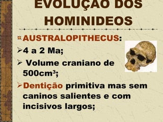 EVOLUÇÃO DOS HOMINIDEOS AUSTRALOPITHECUS : 4 a 2 Ma; Volume craniano de 500cm 3 ; Dentição  primitiva mas sem caninos salientes e com incisivos largos;  