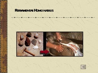 Ferramentas Homo habilis 