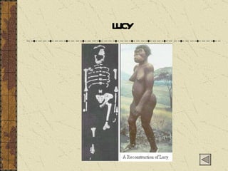 LUCY 