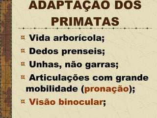 ADAPTAÇÃO DOS PRIMATAS Vida arborícola; Dedos prenseis; Unhas, não garras; Articulações com grande mobilidade ( pronação ); Visão binocular ; 
