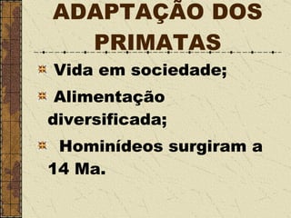 ADAPTAÇÃO DOS PRIMATAS Vida em sociedade; Alimentação diversificada; Hominídeos surgiram a 14 Ma. 