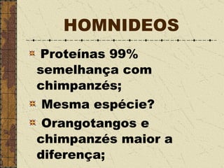 HOMNIDEOS Proteínas 99% semelhança com chimpanzés; Mesma espécie? Orangotangos e chimpanzés maior a diferença; 