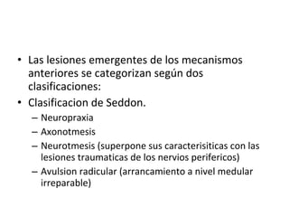 Las lesiones emergentes de los mecanismos anteriores se categorizan según dos clasificaciones:  Clasificacion de Seddon. Neuropraxia  Axonotmesis Neurotmesis (superpone sus caracterisiticas con las lesiones traumaticas de los nervios perifericos) Avulsion radicular (arrancamiento a nivel medular irreparable) 