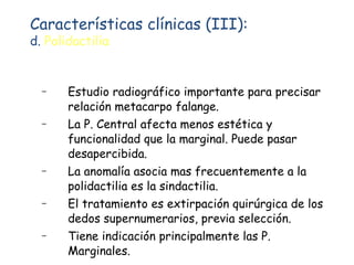 Estudio radiográfico importante para precisar relación metacarpo falange. La P. Central afecta menos estética y funcionalidad que la marginal. Puede pasar desapercibida. La anomalía asocia mas frecuentemente a la polidactilia es la sindactilia. El tratamiento es extirpación quirúrgica de los dedos supernumerarios, previa selección. Tiene indicación principalmente las P. Marginales. Características clínicas (III): d.  Polidactilia : 