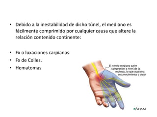 Debido a la inestabilidad de dicho túnel, el mediano es fácilmente comprimido por cualquier causa que altere la relación contenido continente: Fx o luxaciones carpianas. Fx de Colles. Hematomas. 