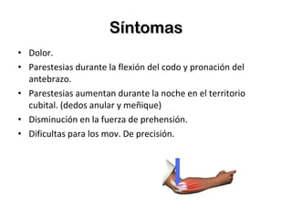 Síntomas Dolor. Parestesias durante la flexión del codo y pronación del antebrazo. Parestesias aumentan durante la noche en el territorio cubital. (dedos anular y meñique) Disminución en la fuerza de prehensión. Dificultas para los mov. De precisión. 