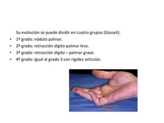 Su evolución se puede dividir en cuatro grupos (Gosset): 1º grado: nódulo palmar. 2º grado: retracción digito-palmar leve. 3º grado: retracción digito – palmar grave. 4º grado: igual al grado 3 con rigidez articular. 