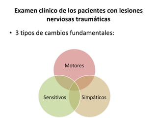 Examen clínico de los pacientes con lesiones nerviosas traumáticas 3 tipos de cambios fundamentales: 