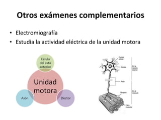 Otros exámenes complementarios Electromiografía Estudia la actividad eléctrica de la unidad motora 