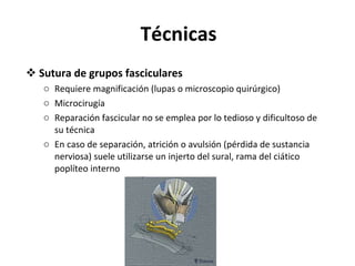 Técnicas Sutura de grupos fasciculares Requiere magnificación (lupas o microscopio quirúrgico) Microcirugía Reparación fascicular no se emplea por lo tedioso y dificultoso de su técnica En caso de separación, atrición o avulsión (pérdida de sustancia nerviosa) suele utilizarse un injerto del sural, rama del ciático poplíteo interno 