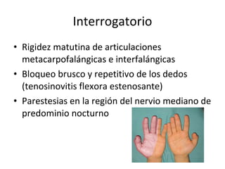 Interrogatorio Rigidez matutina de articulaciones metacarpofalángicas e interfalángicas Bloqueo brusco y repetitivo de los dedos (tenosinovitis flexora estenosante) Parestesias en la región del nervio mediano de predominio nocturno 