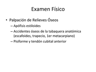 Examen Físico Palpación de Relieves Óseos Apófisis estiloides Accidentes óseos de la tabaquera anatómica (escafoides, trapecio, 1er metacarpiano) Pisiforme y tendón cubital anterior 