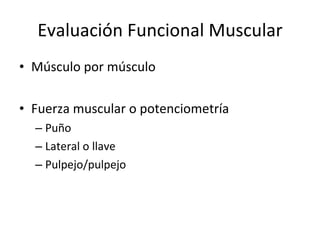 Evaluación Funcional Muscular Músculo por músculo Fuerza muscular o potenciometría Puño Lateral o llave Pulpejo/pulpejo 