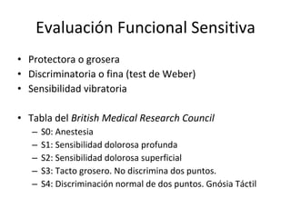 Evaluación Funcional Sensitiva Protectora o grosera Discriminatoria o fina (test de Weber) Sensibilidad vibratoria Tabla del  British Medical Research Council S0: Anestesia S1: Sensibilidad dolorosa profunda S2: Sensibilidad dolorosa superficial S3: Tacto grosero. No discrimina dos puntos. S4: Discriminación normal de dos puntos. Gnósia Táctil 
