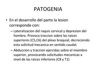 PATOGENIA En el desarrollo del parto la lesion corresponde con: Lateralizacion del raquis cervical y depresion del hombro. Provoca traccion sobre las raices superiores (C5,C6) del plexo braquial, decreciendo esta solicitud mecanica en sentido caudal. Abduccion y traccion ejercidas sobre el miembro superior, provocando solicitudes mecanicas a nivel de las raices inferiores (C8 y T1) 