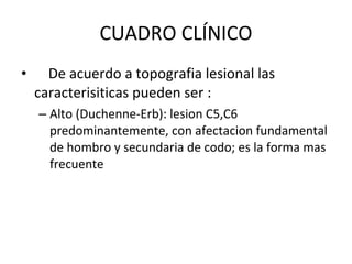 CUADRO CLÍNICO De acuerdo a topografia lesional las caracterisiticas pueden ser : Alto (Duchenne-Erb): lesion C5,C6 predominantemente, con afectacion fundamental de hombro y secundaria de codo; es la forma mas frecuente  