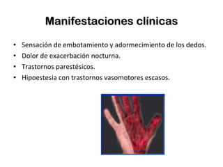Manifestaciones clínicas Sensación de embotamiento y adormecimiento de los dedos. Dolor de exacerbación nocturna. Trastornos parestésicos. Hipoestesia con trastornos vasomotores escasos. 