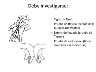 Debe investigarse: Signo de Tinel. Prueba de flexión forzada de la muñeca (de Phalen) Extensión forzada (prueba de Tanzer) Prueba de sudoración (fibras simpáticas vasomotoras) 