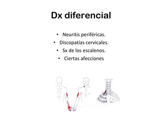Dx diferencial Neuritis periféricas. Discopatías cervicales. Sx de los escalenos. Ciertas afecciones 