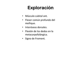 Exploración Músculo cubital ant. Flexor común profundo del meñique. Interóseos dorsales. Flexión de los dedos en la metacarpofalángica. Signo de Froment. 
