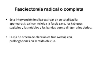 Fasciectomía radical o completa Esta intervención implica extirpar en su totalidad la aponeurosis palmar incluida la fascia sana, los tabiques sagitales y los nódulos y las bandas que se dirigen a los dedos. La vía de acceso de elección es transversal, con prolongaciones en sentido oblicuo. 