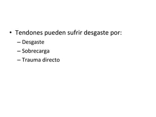 Tendones pueden sufrir desgaste por: Desgaste Sobrecarga Trauma directo 