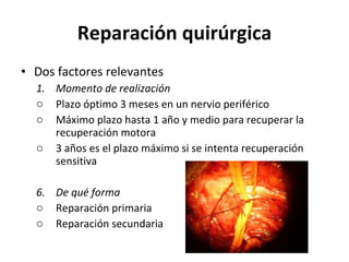 Reparación quirúrgica Dos factores relevantes Momento de realización Plazo óptimo 3 meses en un nervio periférico  Máximo plazo hasta 1 año y medio para recuperar la recuperación motora 3 años es el plazo máximo si se intenta recuperación sensitiva  De qué forma Reparación primaria Reparación secundaria 