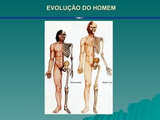 EVOLUÇÃO DO HOMEM 