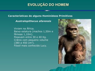 EVOLUÇÃO DO HOMEM Características de alguns Hominídeos Primitivos Australopithecus afarensis   Viviam na África. Baixa estatura (machos 1,50m e fêmeas 1,10m). Pesavam entre 30 e 40 Kg. Crânio com pequeno volume (380 a 450 cm 3 ). Fóssil mais conhecido Lucy. 