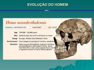 EVOLUÇÃO DO HOMEM 