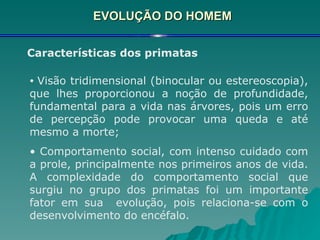 EVOLUÇÃO DO HOMEM Características dos primatas Visão tridimensional (binocular ou estereoscopia), que lhes proporcionou a noção de profundidade, fundamental para a vida nas árvores, pois um erro de percepção pode provocar uma queda e até mesmo a morte;  Comportamento social, com intenso cuidado com a prole, principalmente nos primeiros anos de vida. A complexidade do comportamento social que surgiu no grupo dos primatas foi um importante fator em sua  evolução, pois relaciona-se com o desenvolvimento do encéfalo. 