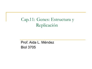 Cap.11:   Genes: Estructura y Replicación  Prof. Aida L. Méndez Biol 3705 